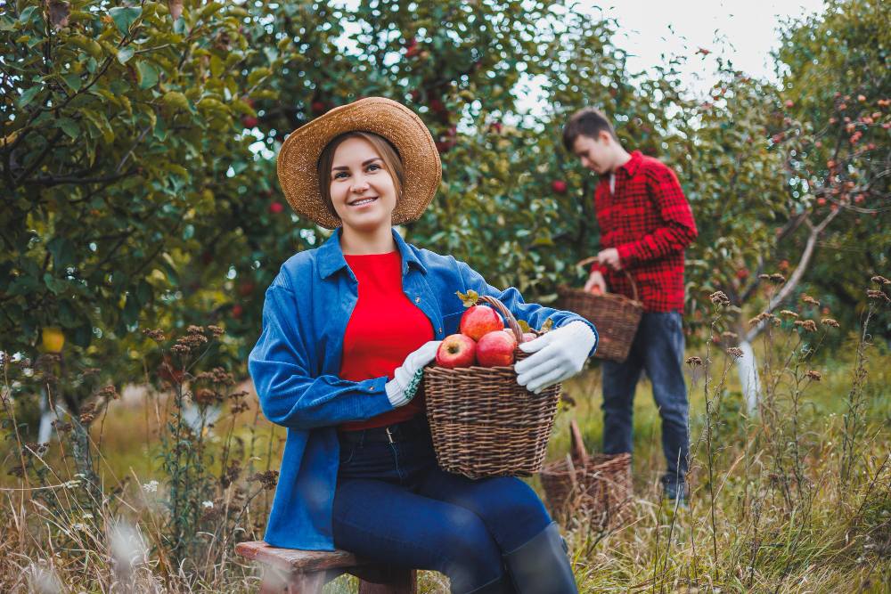 Botanivaalc Harvest and Care Service