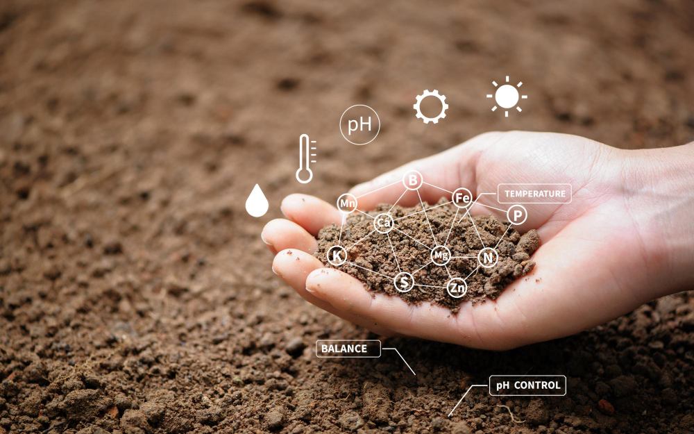 Botanivaalc Soil Health Solutions